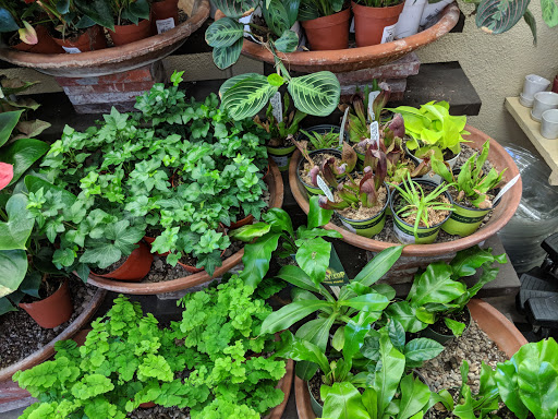 Hardware Store «Orchard Supply Hardware», reviews and photos, 725 W Huntington Dr, Monrovia, CA 91016, USA