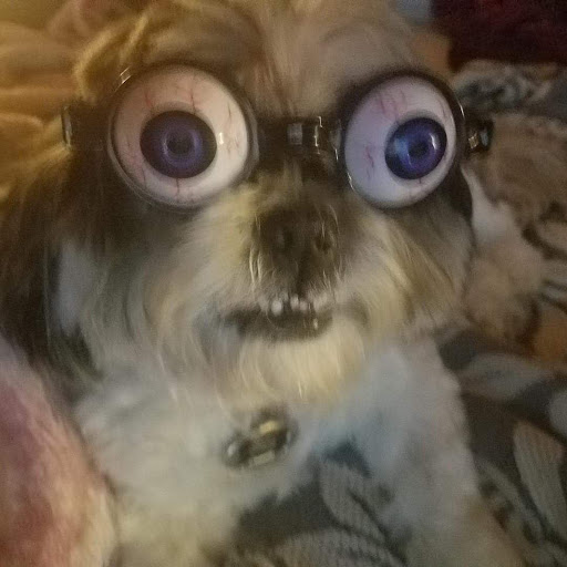 Pet Supply Store «Petco Animal Supplies», reviews and photos, 1014 Glenbrook Way, Hendersonville, TN 37075, USA