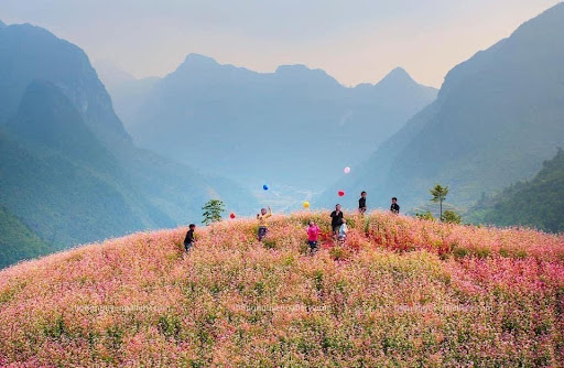 Thảo nguyên Suôi Thầu huyện Xín Mần tỉnh Hà Giang