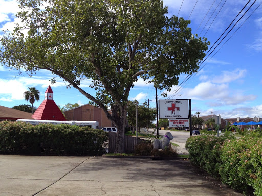 Animal Hospital «Animal Medical Corpus Christi», reviews and photos, 6822 Everhart Rd, Corpus Christi, TX 78413, USA