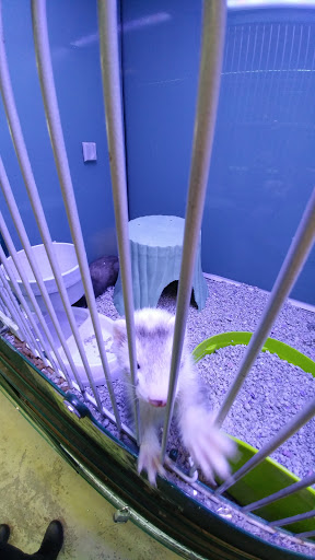 Pet Supply Store «Atlas Pet Supply», reviews and photos, 1798 Market Dr, Stillwater, MN 55082, USA