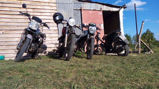MOTOS AGUSTÍN FREDES - Tienda de motocicletas