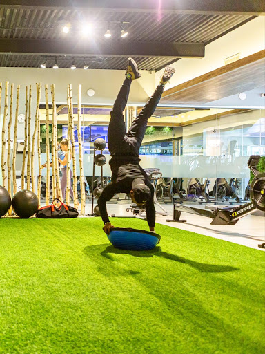 Gym «Push Fitness Club», reviews and photos, 15 Jericho Turnpike, New Hyde Park, NY 11040, USA