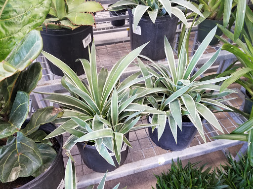 Home Improvement Store «Menards», reviews and photos, 3215 W North Ave, Melrose Park, IL 60160, USA