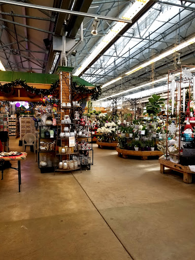 Garden Center «English Gardens», reviews and photos, 4901 Coolidge Hwy, Royal Oak, MI 48073, USA