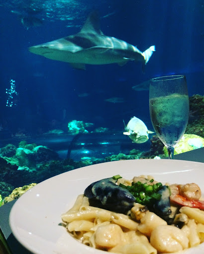 Aquarium «Shark Encounter», reviews and photos, 7007 Sea World Dr, Orlando, FL 32821, USA