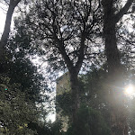 Photo n°3 de l'avis de Lavinia.o fait le 14/01/2024 à 12:59 sur le  Torre delle Cornacchie à Rome