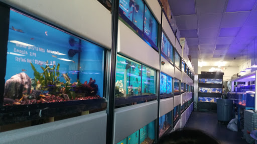 Tropical Fish Store «The Aquarium Connection», reviews and photos, 1663 E Los Angeles Ave, Simi Valley, CA 93065, USA