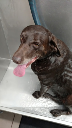 Pet Supply Store «Pet Supplies Plus», reviews and photos, 2441 N Center St, Hickory, NC 28601, USA