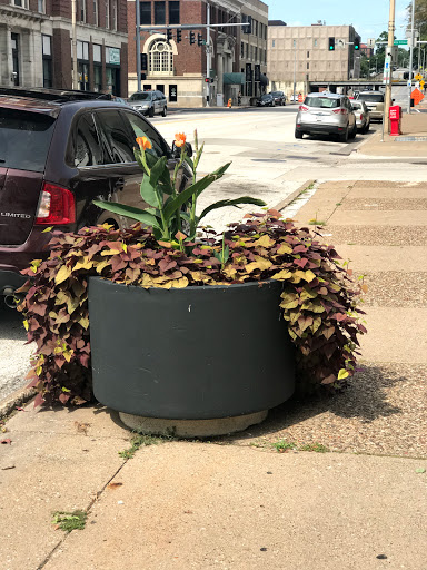 Grocery Store «Central Grocery», reviews and photos, 234 W 3rd St, Davenport, IA 52801, USA