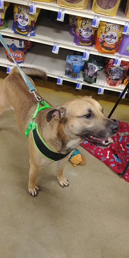 Pet Supply Store «PetSmart», reviews and photos, 4824 211th St, Matteson, IL 60443, USA