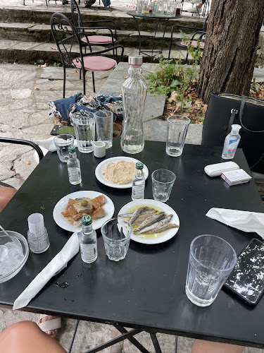 ΓΥΝΑΙΚΕΙΟΣ ΑΓΡΟΤΟΤΟΥΡΙΣΤΙΚΟΣ ΣΥΝΕΤΑΙΡΙΣΜΟΣ ΖΑΓΟΡΑΣ