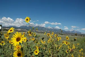 Colorado Mountain Realty image