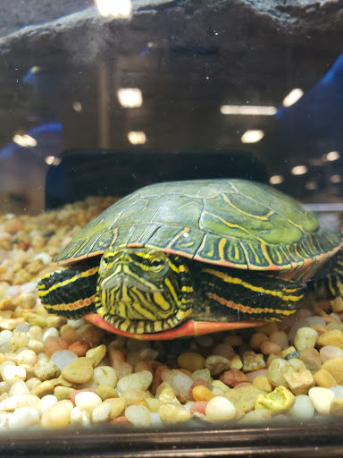 Pet Supply Store «PetSmart», reviews and photos, 73 RHL Blvd, South Charleston, WV 25309, USA