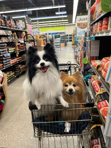 Pet Supply Store «Petco Animal Supplies», reviews and photos, 11147 Park Blvd N, Seminole, FL 33772, USA