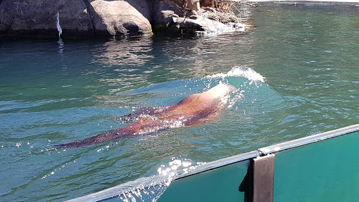 Zoo «Central Park Zoo», reviews and photos, E 64th St & 5th Ave, New York, NY 10021, USA