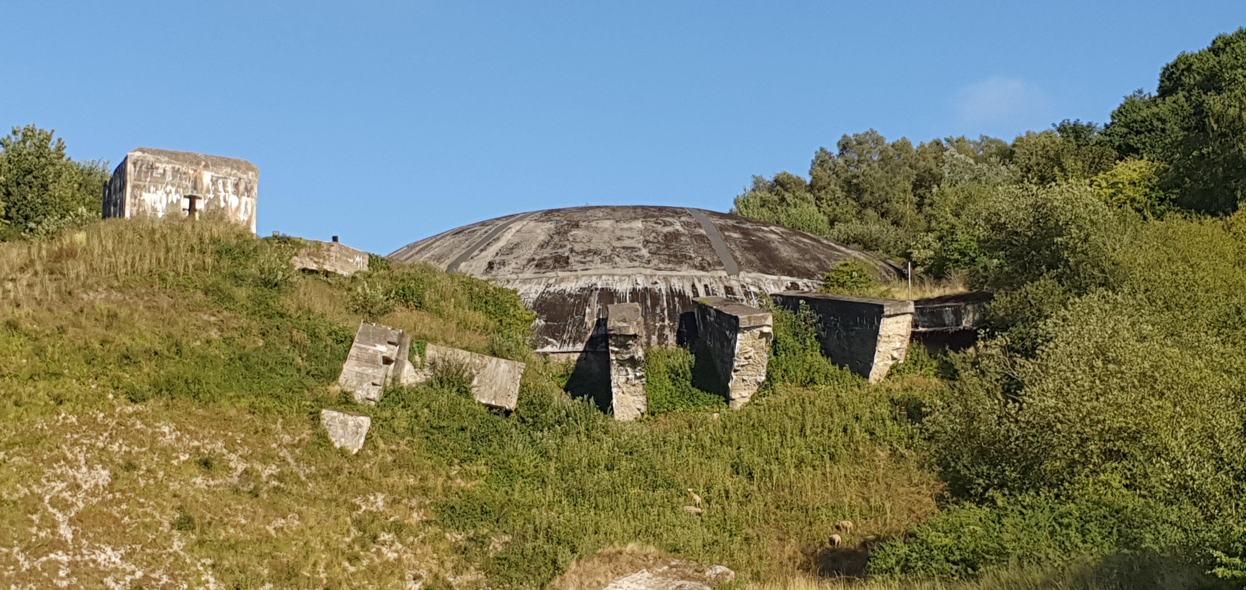 Photo n° 1 de l'avis de virginie.a fait le 18/08/2020 à 17:23