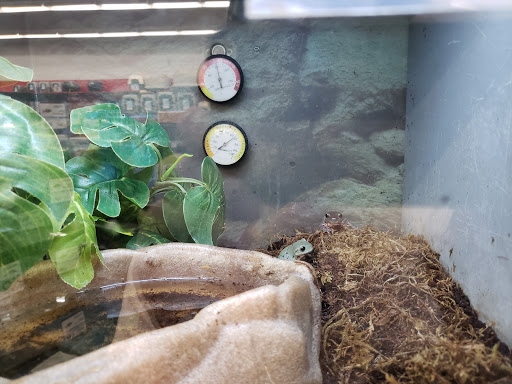 Pet Supply Store «Petco Animal Supplies», reviews and photos, 6631 Edwardsville Crossing Dr, Edwardsville, IL 62025, USA