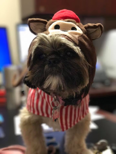 Insurance Agency «Amy Williams - State Farm Insurance Agent», reviews and photos