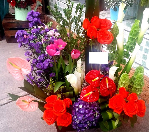 Flores del Bosque – Cuernavaca