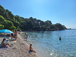 Plaza Maestral'in fotoğrafı kısmen otel alanı