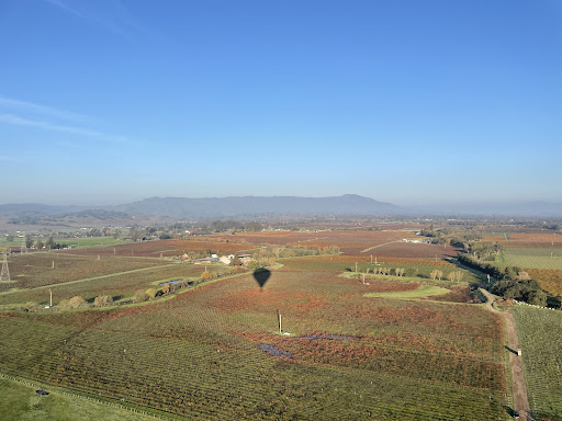 Sonoma Ballooning image