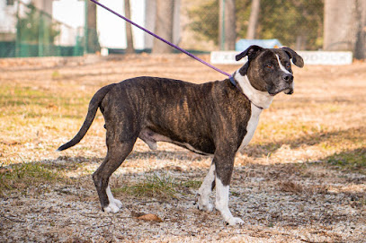 Lakeside Kennel & Cattery LLC