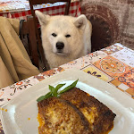 Photo n°5 de l'avis de daniela.e fait le 16/03/2024 à 08:39 sur le  La Locanda di AntonVito à Manduria