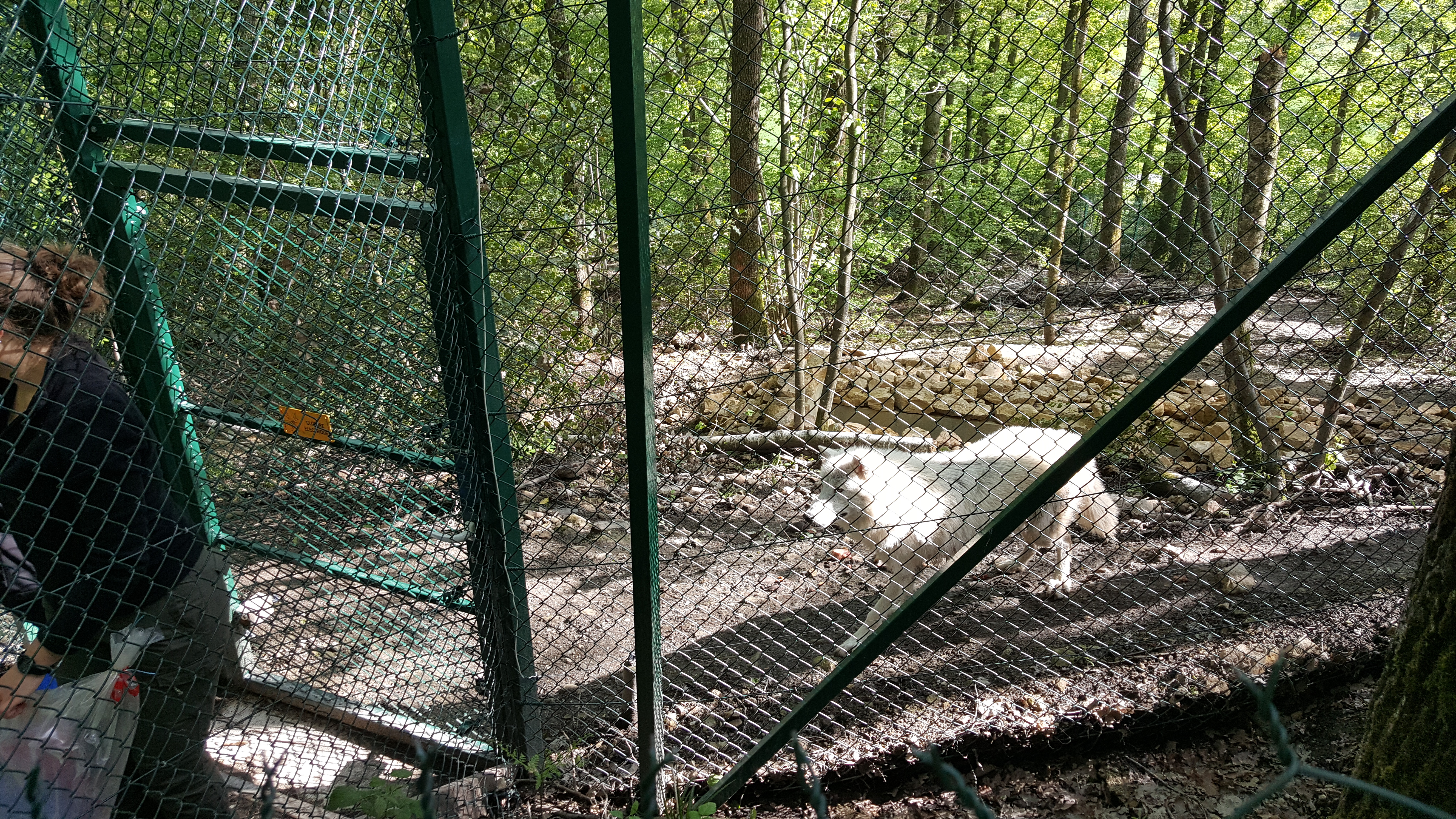 Photo n° 1 de l'avis de Oriane.i fait le 01/06/2019 à 15:18