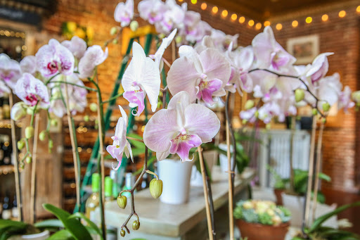 Florist «Foothill Flowers», reviews and photos, 102 W Main St, Grass Valley, CA 95945, USA