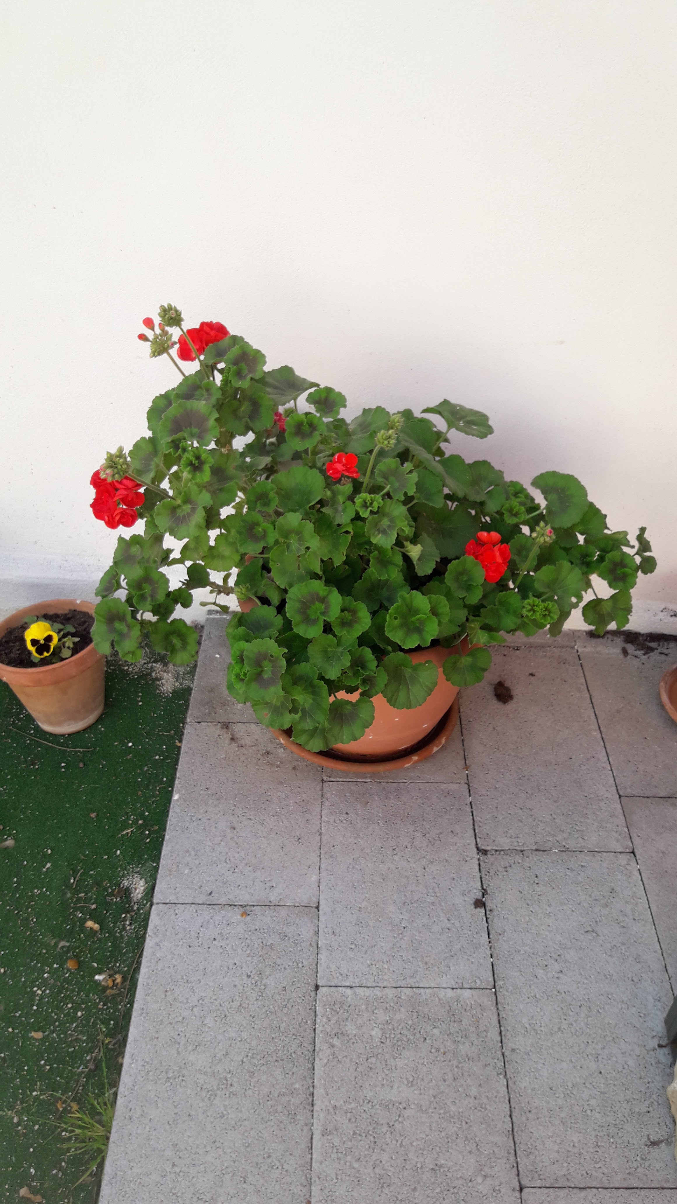 Photo n° 1 de l'avis de BEVENGUT.A fait le 02/06/2019 à 12:18