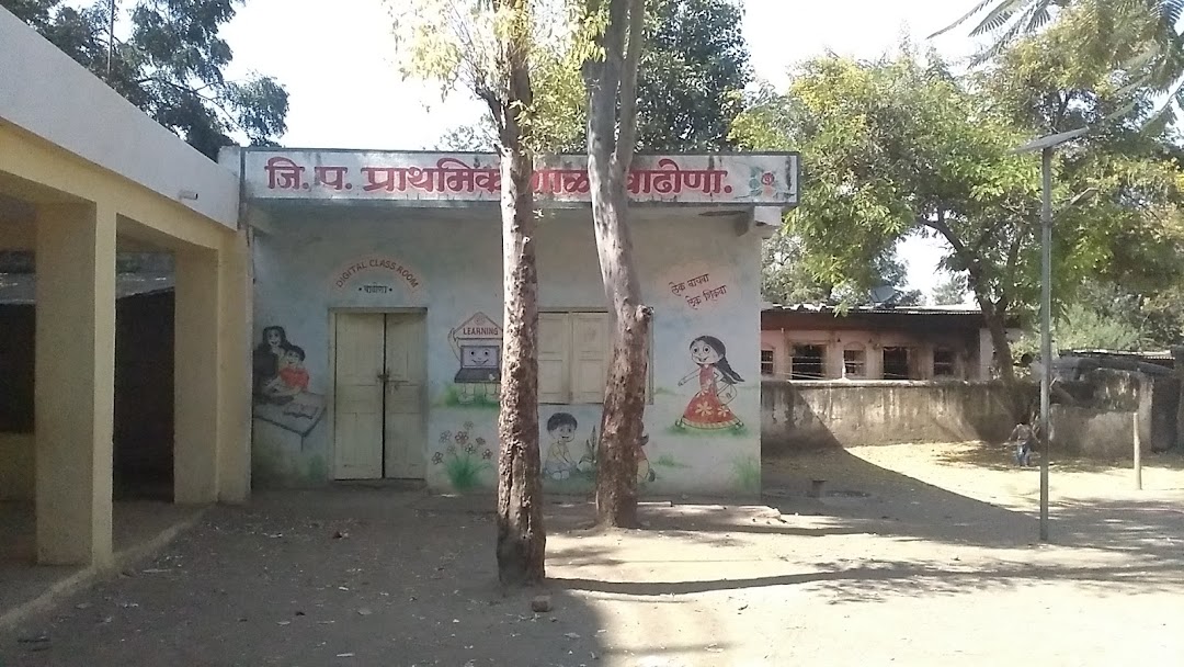 जिल्हा परिषद शाळा वाढोणा