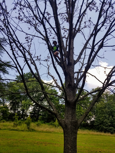 Park «Pilgrim Hill Local Park», reviews and photos, 1615 E Randolph Rd, Silver Spring, MD 20904, USA