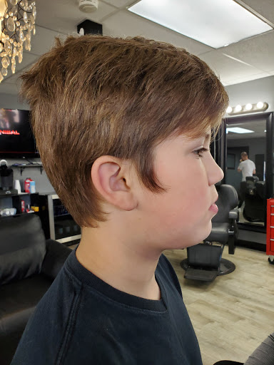 Hair Salon «Tease Barber & Beauty Shop», reviews and photos, 25565 Van Born Rd, Taylor, MI 48180, USA