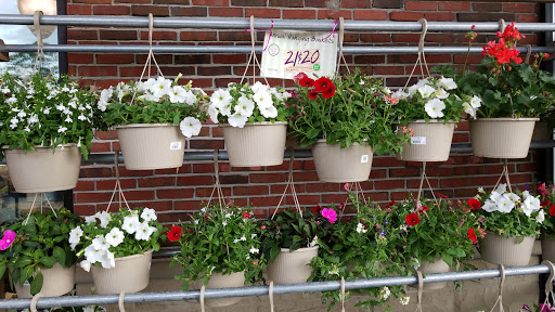 Supermarket «Roche Bros. Natick», reviews and photos, 150 W Central St, Natick, MA 01760, USA