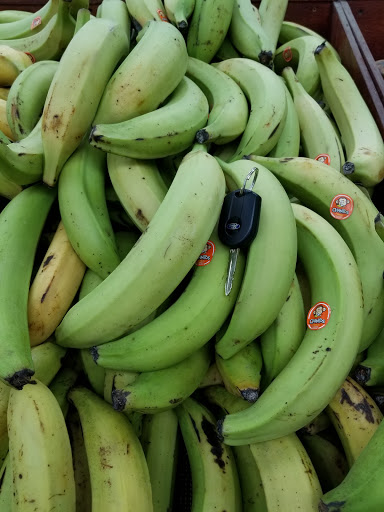 Asian Grocery Store «Hiệp Thái Food Store», reviews and photos, 2430 E Pioneer Pkwy, Arlington, TX 76010, USA