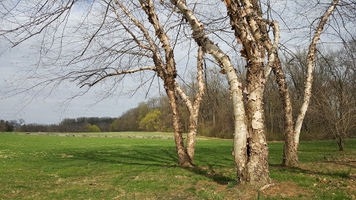 Battle Site «Paoli Battlefield Historical Park», reviews and photos, Monument Ave & Wayne Ave, Malvern, PA 19355, USA