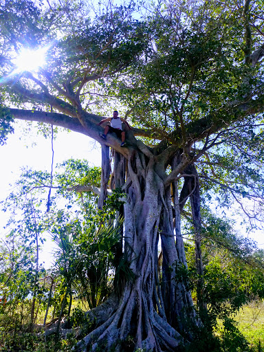 Water Park «Splash Adventure Water Park», reviews and photos, Quiet Waters Park Dr, Deerfield Beach, FL 33442, USA