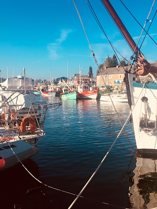 Extérieur Chambre d'hôtes Ar maen 22290 Lanvollon