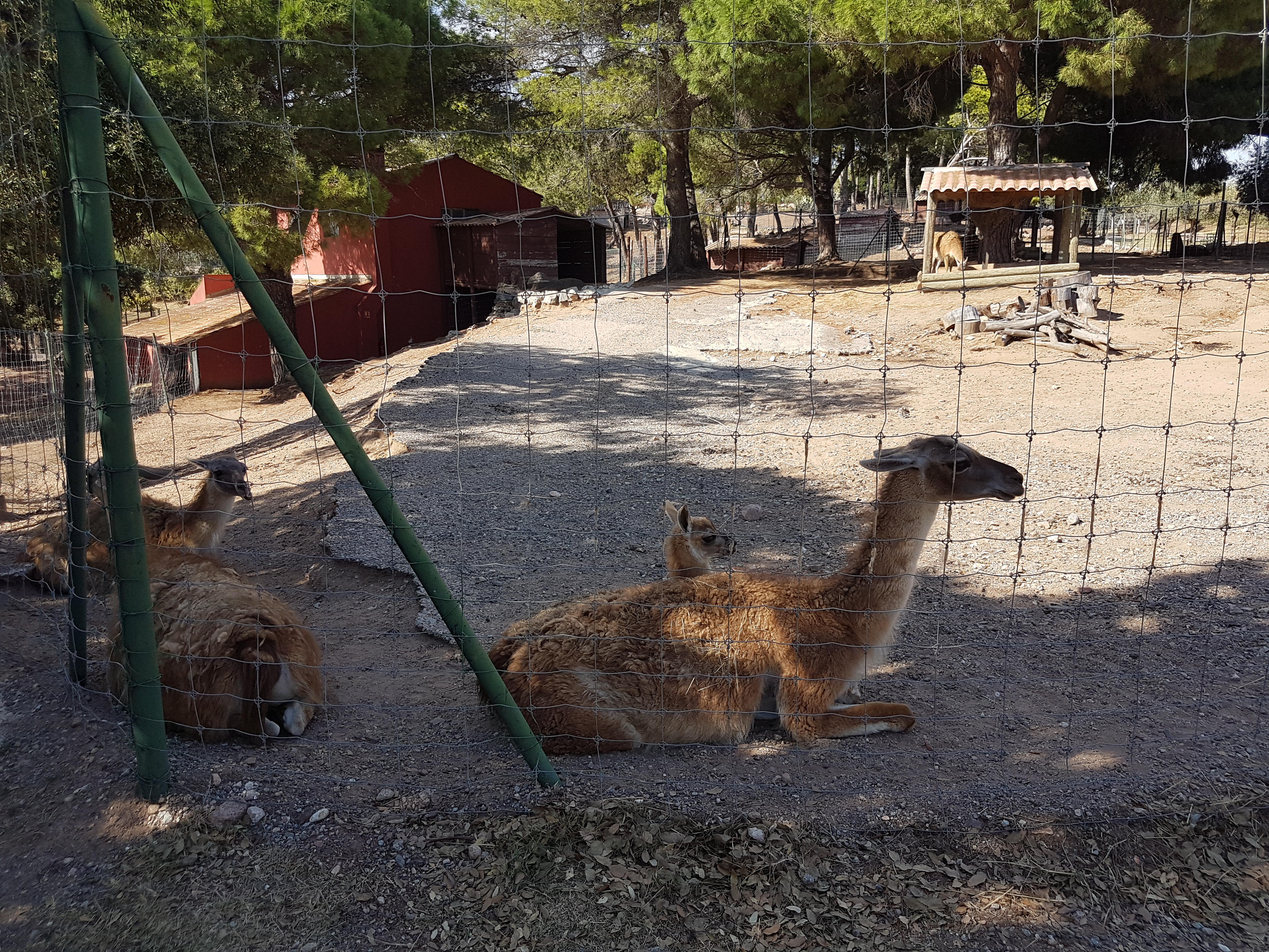 Photo n° 28 de l'avis de Armand.A fait le 09/09/2018 à 19:52