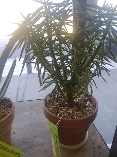 Natural Foods Store «GreenAcres Market Clear Lakes», reviews and photos, 2315 W 21st St N #115, Wichita, KS 67203, USA