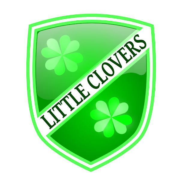Imagen de Escuela Infantil Bilingüe Little Clovers (7 de 7)