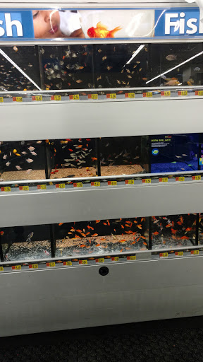 Department Store «Walmart Supercenter», reviews and photos, 1100 Old Philadelphia Rd, Jasper, GA 30143, USA