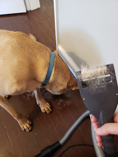 Pet Supply Store «PetSmart», reviews and photos, 3351 Jefferson Davis Hwy, Alexandria, VA 22305, USA