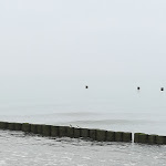 Photo n°4 de l'avis de Lennart.c fait le 07/06/2018 à 17:47 sur le  Restaurant und Galerie Lehmann Ahrenshoop à Ahrenshoop