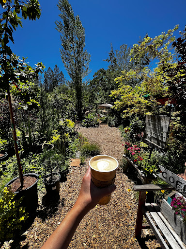 Coffee Shop «Mountain Sage», reviews and photos, 18653 Main St, Groveland, CA 95321, USA