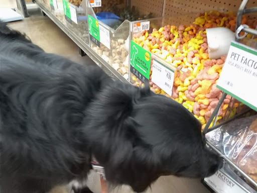 Pet Supply Store «Pet Supplies Plus», reviews and photos, 1676 E Summit St, Crown Point, IN 46307, USA