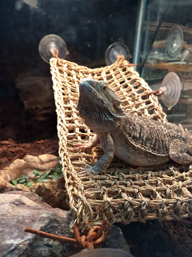 Pet Store «Wet Pets N Critters», reviews and photos, 103 TX-281 Loop, Longview, TX 75605, USA