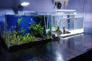 Popo's Aquarium image
