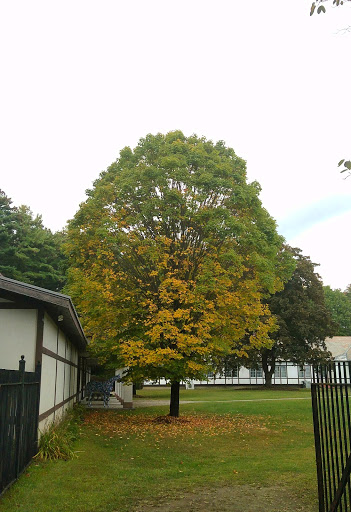 Museum «NATIONAL MUSEUM OF DANCE», reviews and photos, 99 S Broadway, Saratoga Springs, NY 12866, USA